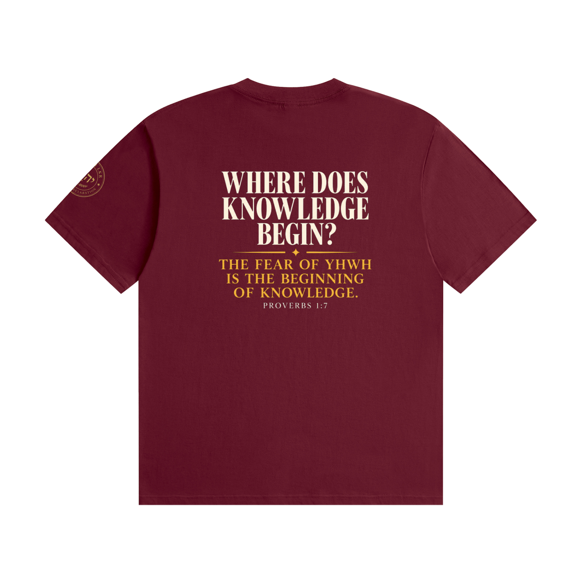 The Beginning of Knowledge Tee