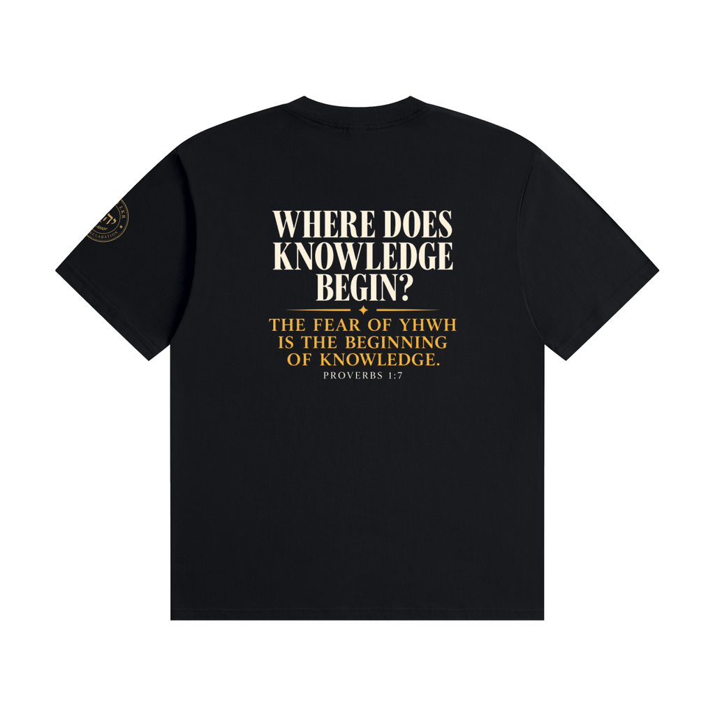 The Beginning of Knowledge Tee