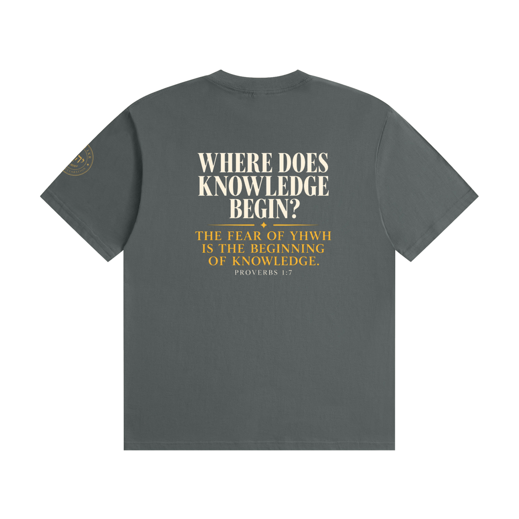 The Beginning of Knowledge Tee