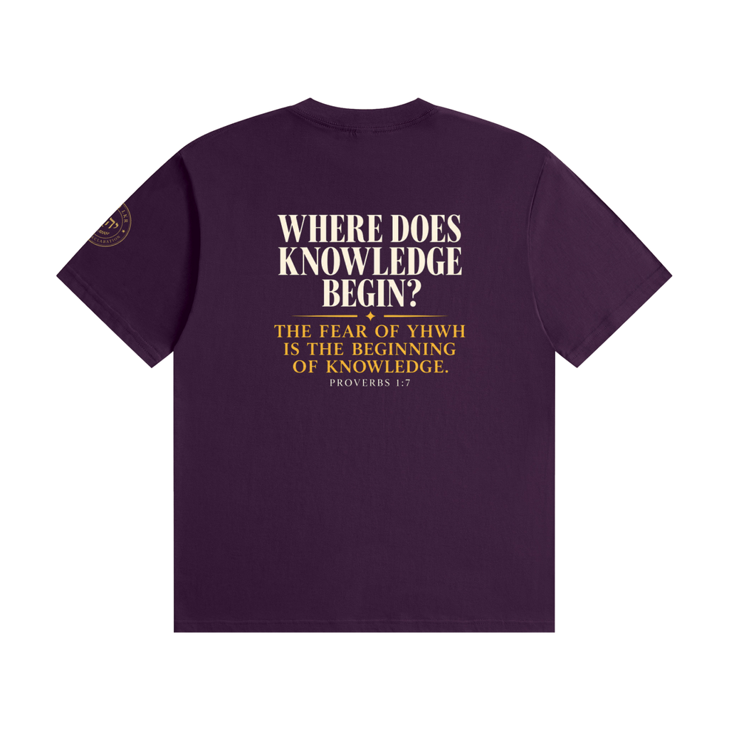 The Beginning of Knowledge Tee