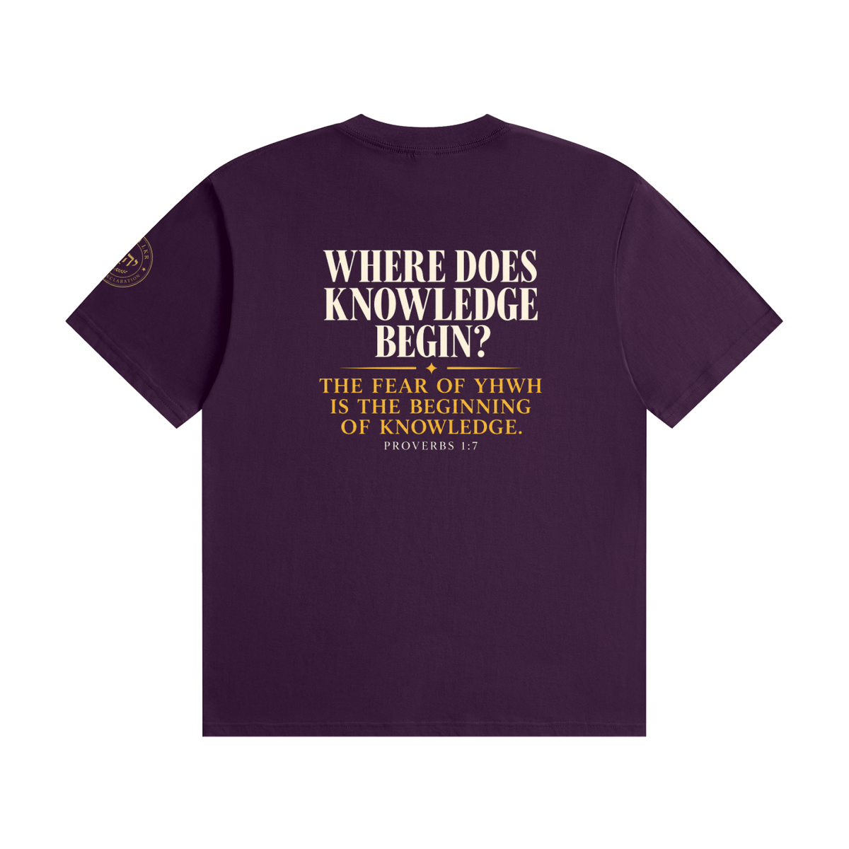 The Beginning of Knowledge Tee